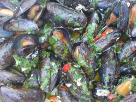 grillade-blamusslor-med-orter-lime-och-chili