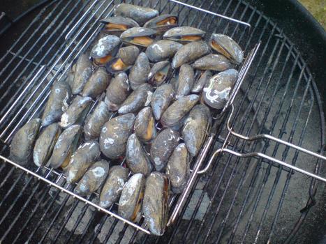 grillade-blamusslor
