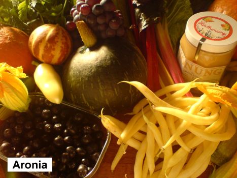 aroniabar-bland-annan-frukt