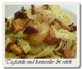 Tagliatelle med kantareller & karamelliserad vitlök